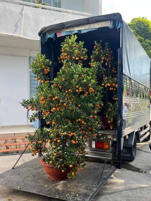 Xe tải 2 tấn bàn nâng chuyển văn phòng TP.HCM