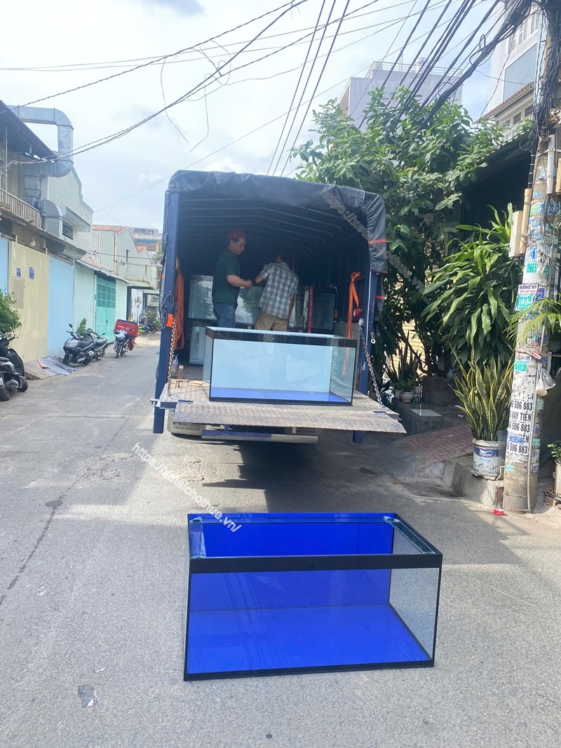 Xe tải bàn nâng An Sương chở tủ kiếng nuôi cá lớn an toàn tuyệt đối, thuận tiện từng chuyến đi