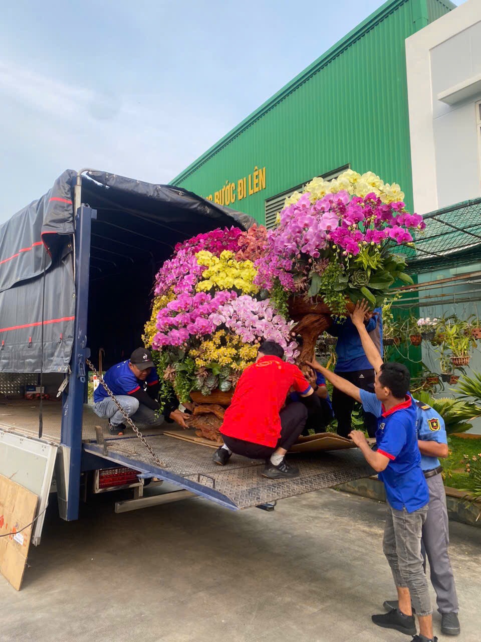 Xe tải chở cây cảnh gắn bàn nâng hạ chở cây cảnh giảm gãy nhánh cành lá