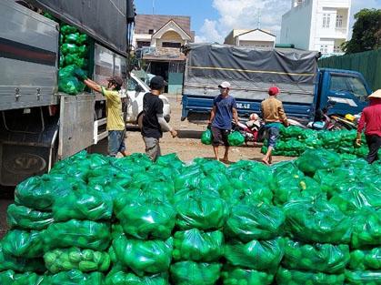 Xe tải chở thực phẩm rau củ lên chợ sớm